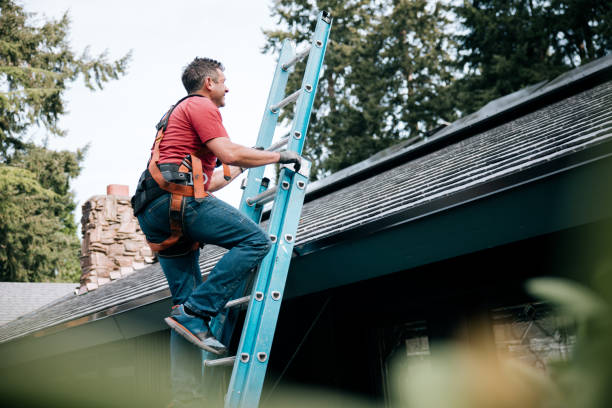 Best Roof Moss and Algae Removal  in Trexlertown, PA